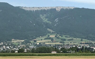 Photo 3 (submitted by Heidi)