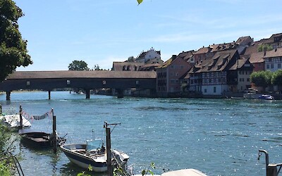 Photo 6 (submitted by Heidi)