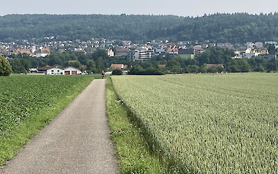 (submitted by David P.)