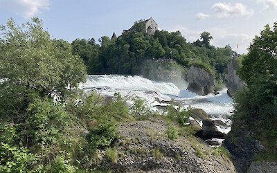 Rheinfalls. (submitted by David P.)