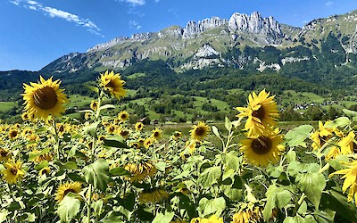 Roadside view (submitted by Timothy Ricks)