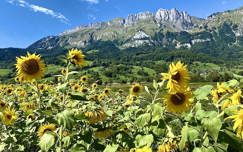 Roadside view (submitted by Timothy Ricks)