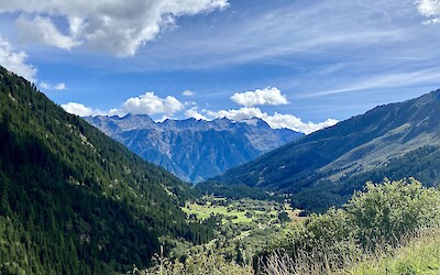 (submitted by Timothy Ricks)