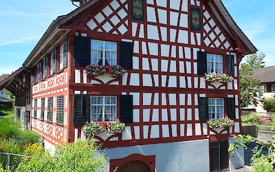 (submitted by Jim and Linda LoBue)