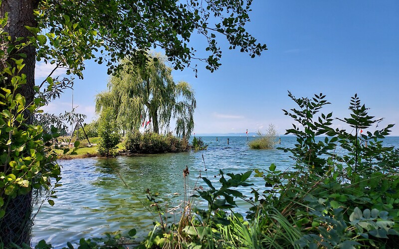 Photo by Jim and Linda LoBue