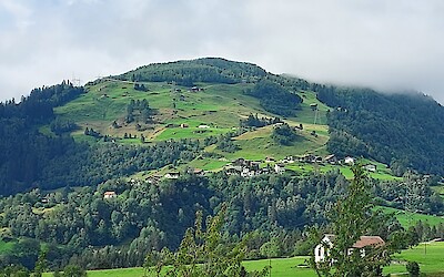 (submitted by Jim and Linda LoBue)