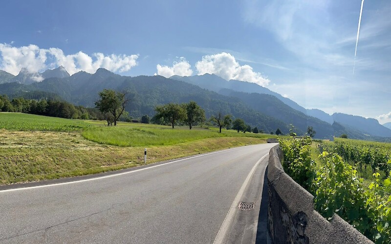 The bike path was mostly level and rich with views and serenity. (submitted by Susanne &…