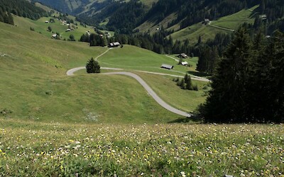 View from the climb on Day 2 (submitted by Cindy23)