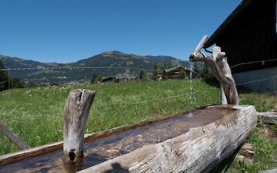 Spring water would be coming out of things like this all over! (submitted by Cindy23)