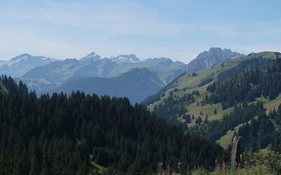 The view after the climb on Day 2 (submitted by Cindy23)