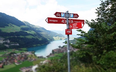 What an overlook....  These are the bike signs that guided us along our journey. (submitted by Cindy23)