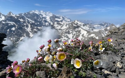 From top of the Schilthorn, on our rest day (submitted by Christine Downing)