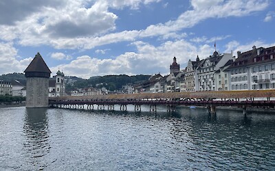 Lucerne (submitted by Christine Downing)