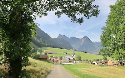 (submitted by Jane Fletcher)