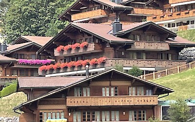 (submitted by Jane Fletcher)