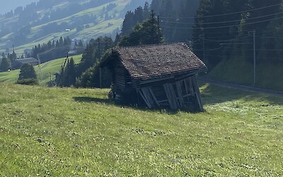 (submitted by Jane Fletcher)