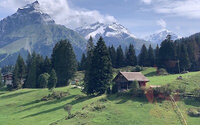 (submitted by Jane Fletcher)