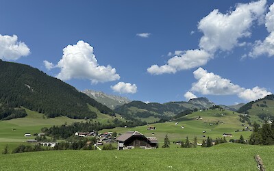 (submitted by Tommy and Tracy)