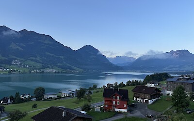 Sarney (submitted by Tommy and Tracy)