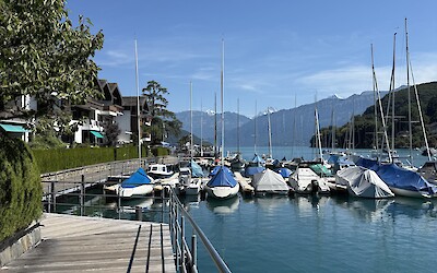 (submitted by Marci C)