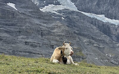 (submitted by Marci C)