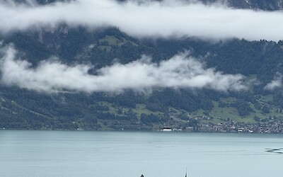 (submitted by Marci C)