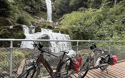 (submitted by Marci C)