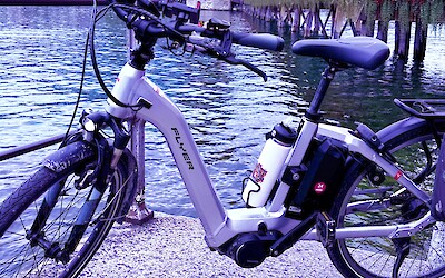 (submitted by Marci C)