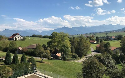 Photo 1 (submitted by CarleyC)