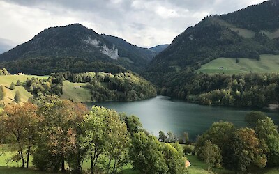 Photo 3 (submitted by CarleyC)