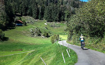 Somewhere between Interlaken and Saarinen (submitted by Anna)