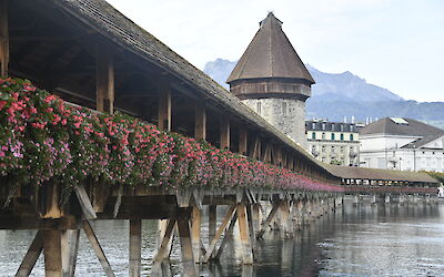 Lucerne (submitted by Anna)