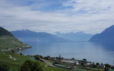 The Lavaux Vineyards, Lake Geneva, and Alps (submitted by apitzer)