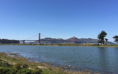 Golden Gate Bridge from Chrissy Field (submitted by Jan VandenHengel)