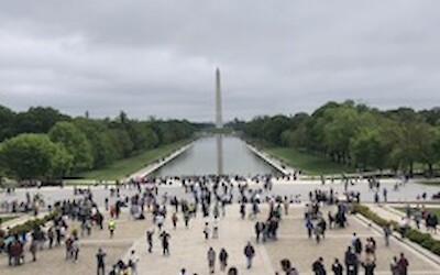 (submitted by Taylor)