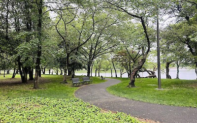 (submitted by Kirsten H)