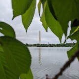 Washington Monument from the FDR Memorial. (photo by Roz P)