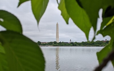 Washington Monument from the FDR Memorial. (submitted by Roz P)