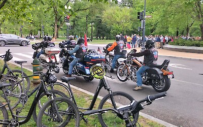 (submitted by Bozena K.)