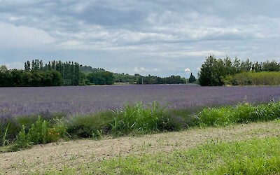 (submitted by Edouard Cornudet)