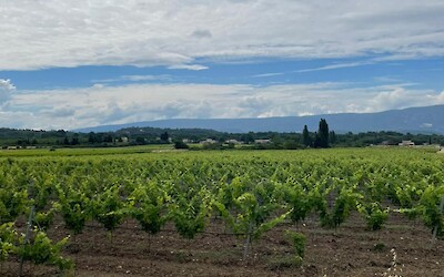 (submitted by Edouard Cornudet)