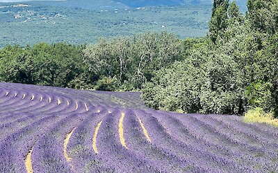 (submitted by B. Powell)