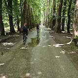 road to Bosna Spring (photo by Fred G)