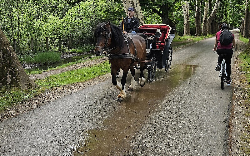 Horse and Carriage Bosna Spring (submitted by Fred G)