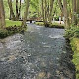 Bosna Spring (photo by Fred G)
