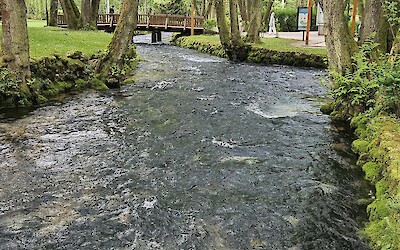 Bosna Spring (submitted by Fred G)