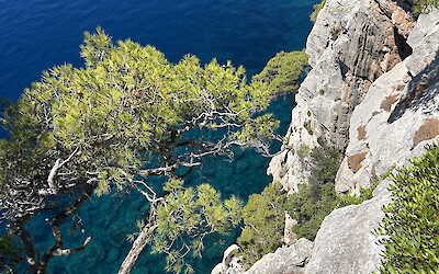 (submitted by CHAPIN V)