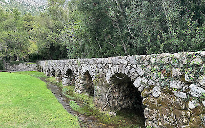 (submitted by CHAPIN V)