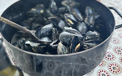 (submitted by Nick Warth)