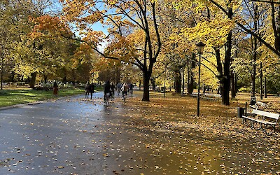 (submitted by Jackie Wallace)